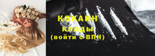 бошки Алзамай
