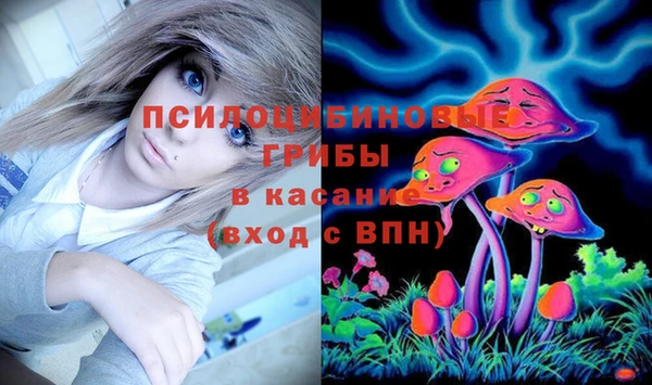 дживик Арсеньев