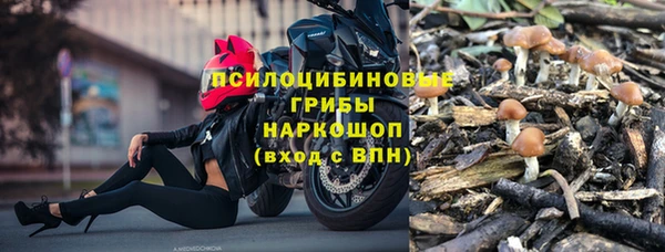 бошки Алзамай