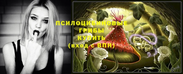 твердый Алексин