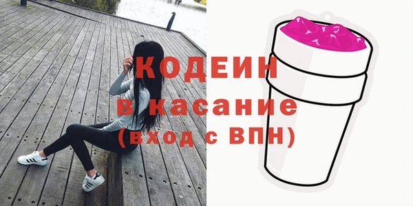 индика Приозерск