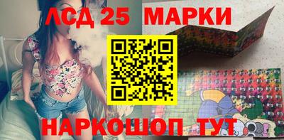 apvp Кингисепп
