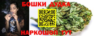 apvp Кингисепп
