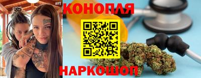 apvp Кингисепп