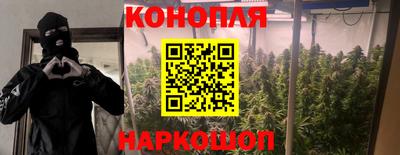 стаф Кимры