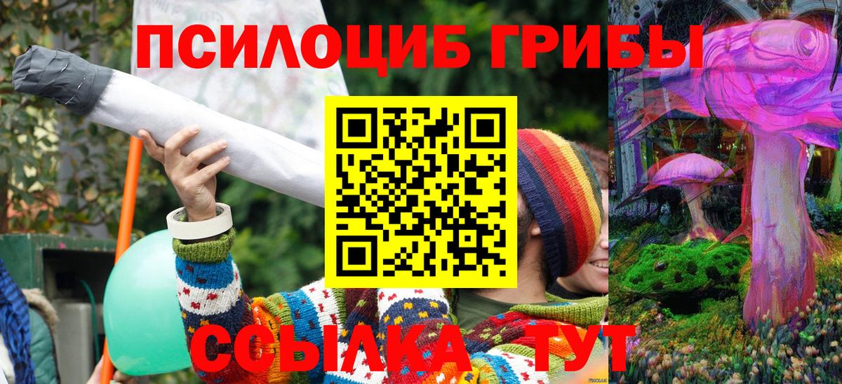 Псилоцибиновые грибы Magic Shrooms Краснознаменск