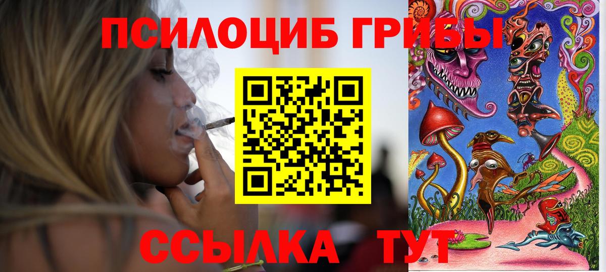 Краснознаменск  Псилоцибиновые грибы Psilocybine cubensis  Псилоцибиновые грибы мицелий  Вход с VPN 
